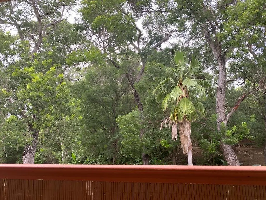 Appartement Studio Le Balisier Caritan